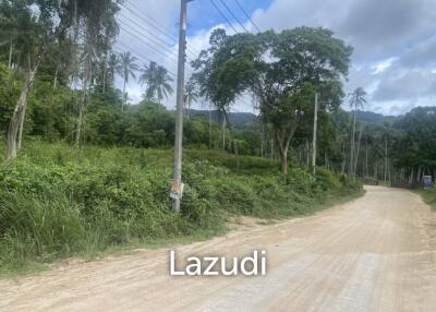 1100sqm of Affordable Freehold Land in Scenic Lamai