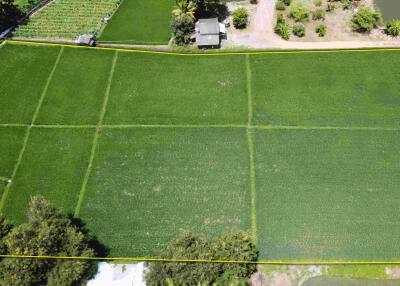 Aerial view of green agricultural land