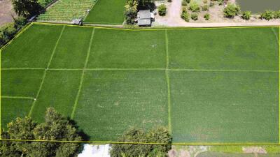 Aerial view of green agricultural land