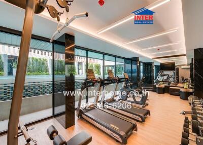 Modern gym with various exercise equipment