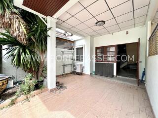 Covered outdoor patio area with plants