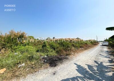 Gravel road leading through overgrown vegetation