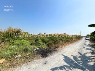 Gravel road leading through overgrown vegetation