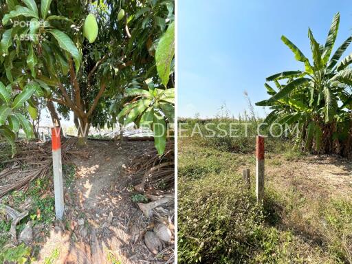 Outdoor area with vegetation and boundary markers