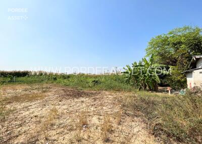 open land space with greenery