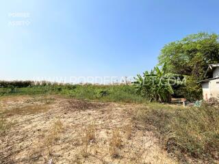 open land space with greenery