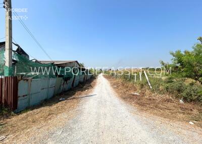 A view of a gravel road leading to a property with surrounding vegetation