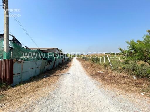 A view of a gravel road leading to a property with surrounding vegetation