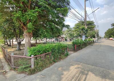 Tree-lined street near property