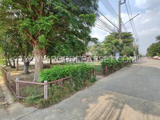 Tree-lined street near property