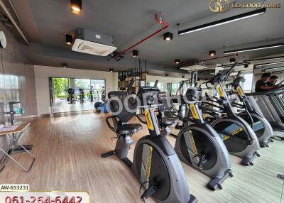 Modern gym with exercise bikes and equipment