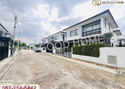 Street view of modern residential houses with green hedges