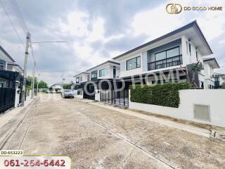 Street view of modern residential houses with green hedges