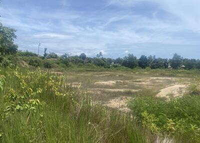 Open land with vegetation under a clear sky