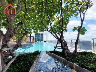 Rooftop pool with garden