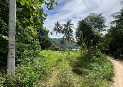 Outdoor area with lush greenery and distant view of landscape