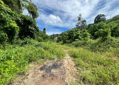 Outdoor land area with vegetation and clear sky