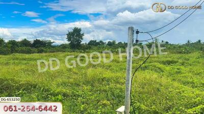 Open green land plot with electrical poles under a blue sky