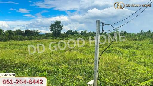 Open green land plot with electrical poles under a blue sky