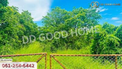 Lush green view with trees and a fence