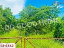 Lush green view with trees and a fence