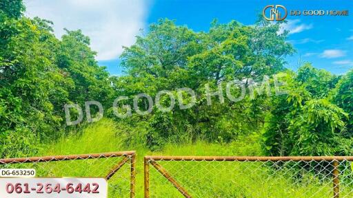 Lush green view with trees and a fence