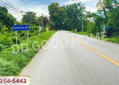 Road leading to property with surrounding greenery