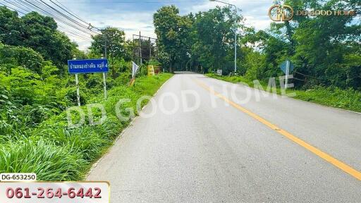 Road leading to property with surrounding greenery