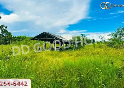 View of open land with greenery and a small structure