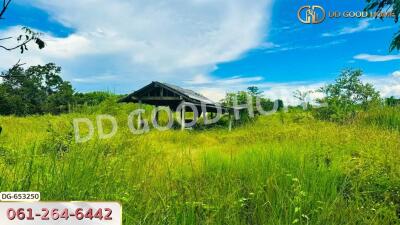 View of open land with greenery and a small structure