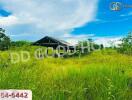 View of open land with greenery and a small structure