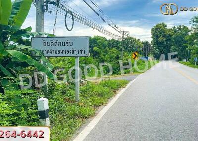 Road view with greenery along the side and a sign welcoming visitors