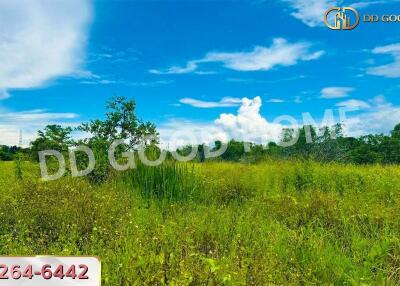 open green field under blue sky