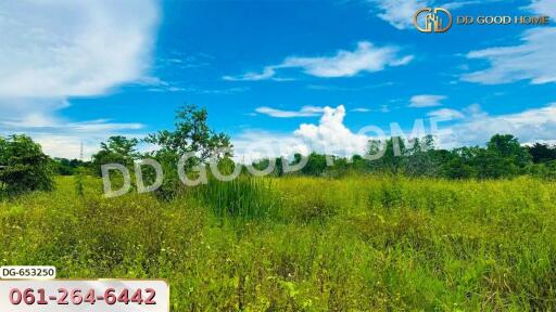 open green field under blue sky