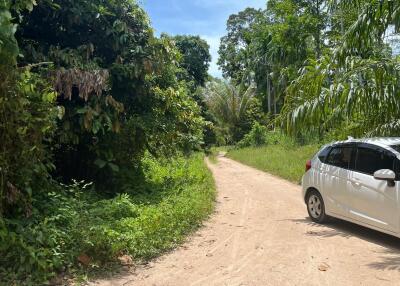 A driveway leading into a property bordered with lush greenery and a white car parked on the side.