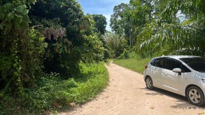 A driveway leading into a property bordered with lush greenery and a white car parked on the side.