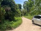 A driveway leading into a property bordered with lush greenery and a white car parked on the side.