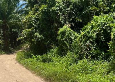 Scenic outdoor pathway surrounded by lush greenery