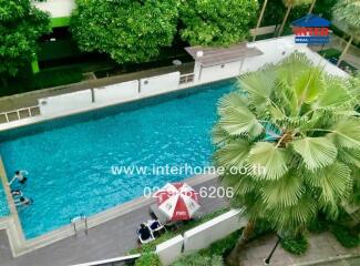 Swimming pool area with greenery