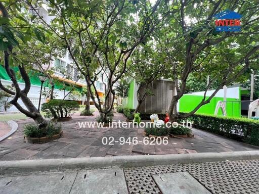 Garden area with trees and a decorative pathway