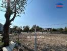 Empty lot with a few trees, surrounded by fencing, and adjacent to a few buildings