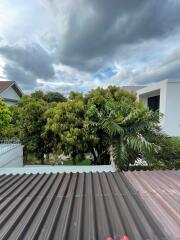 View of trees and neighboring houses