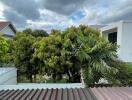 View of trees and neighboring houses