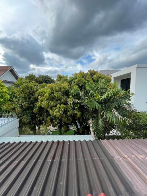 View of trees and neighboring houses