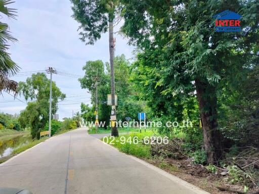 Property surroundings with greenery and a road