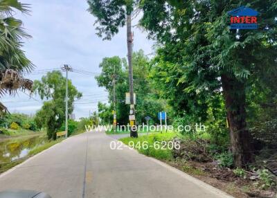 Photo of a roadway lined with trees from real estate listing