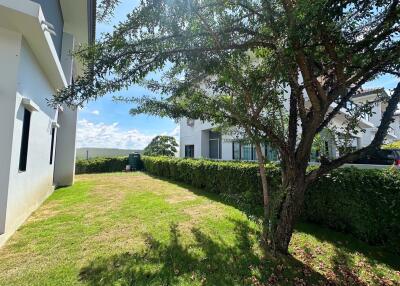 Backyard with tree and greenery