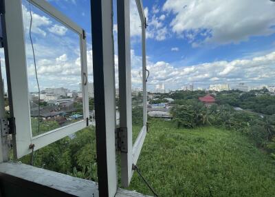 Open window view of cityscape with green vegetation