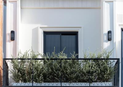 Balcony with plants and modern lighting