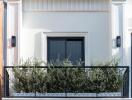 Balcony with plants and modern lighting